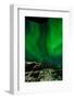 Sweden, Norrbotten, Abisko. Aurora Borealis (Northern Lights) above Abisko canyon.-Fredrik Norrsell-Framed Photographic Print