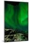 Sweden, Norrbotten, Abisko. Aurora Borealis (Northern Lights) above Abisko canyon.-Fredrik Norrsell-Mounted Photographic Print