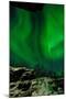 Sweden, Norrbotten, Abisko. Aurora Borealis (Northern Lights) above Abisko canyon.-Fredrik Norrsell-Mounted Photographic Print