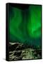 Sweden, Norrbotten, Abisko. Aurora Borealis (Northern Lights) above Abisko canyon.-Fredrik Norrsell-Framed Stretched Canvas