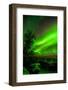 Sweden, Norrbotten, Abisko. Aurora Borealis (Northern Lights) over Abisko Canyon.-Fredrik Norrsell-Framed Photographic Print