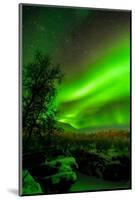 Sweden, Norrbotten, Abisko. Aurora Borealis (Northern Lights) over Abisko Canyon.-Fredrik Norrsell-Mounted Photographic Print