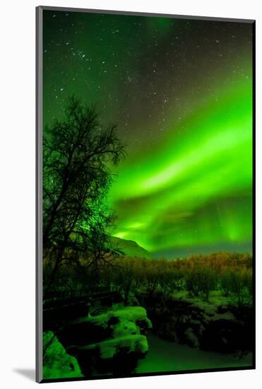 Sweden, Norrbotten, Abisko. Aurora Borealis (Northern Lights) over Abisko Canyon.-Fredrik Norrsell-Mounted Photographic Print