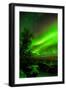 Sweden, Norrbotten, Abisko. Aurora Borealis (Northern Lights) over Abisko Canyon.-Fredrik Norrsell-Framed Photographic Print