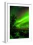 Sweden, Norrbotten, Abisko. Aurora Borealis (Northern Lights) over Abisko Canyon.-Fredrik Norrsell-Framed Photographic Print