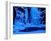 Sweden, Norrbotten, Abisko. Icefall in Abisko Canyon.-Fredrik Norrsell-Framed Photographic Print