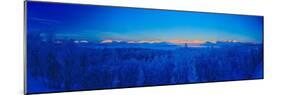 Sweden, Norrbotten, Abisko. Winter light over frosted birch forest and Torne Lake.-Fredrik Norrsell-Mounted Photographic Print