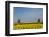 Sweden, Oland Island, Lerkaka, antique wooden windmills-Walter Bibikow-Framed Photographic Print