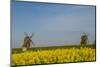 Sweden, Oland Island, Lerkaka, antique wooden windmills-Walter Bibikow-Mounted Photographic Print