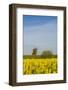 Sweden, Oland Island, Lerkaka, antique wooden windmills-Walter Bibikow-Framed Photographic Print