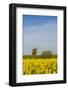 Sweden, Oland Island, Lerkaka, antique wooden windmills-Walter Bibikow-Framed Photographic Print