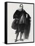 Sweden's King Gustav II Adolph-null-Framed Stretched Canvas