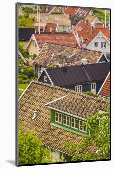Sweden, Scania, Arild, high angle village view-Walter Bibikow-Mounted Photographic Print