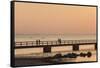 Sweden, Scania, Malmo, Riberborgs Stranden beach area, pier at sunset-Walter Bibikow-Framed Stretched Canvas