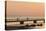 Sweden, Scania, Malmo, Riberborgs Stranden beach area, pier at sunset-Walter Bibikow-Stretched Canvas