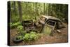 Sweden, Smaland, Ryd, Kyrko Mosse Car Cemetery, former junkyard now pubic park, junked cars-Walter Bibikow-Stretched Canvas