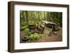 Sweden, Smaland, Ryd, Kyrko Mosse Car Cemetery, former junkyard now pubic park, junked cars-Walter Bibikow-Framed Photographic Print