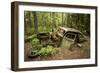 Sweden, Smaland, Ryd, Kyrko Mosse Car Cemetery, former junkyard now pubic park, junked cars-Walter Bibikow-Framed Photographic Print