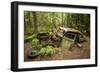 Sweden, Smaland, Ryd, Kyrko Mosse Car Cemetery, former junkyard now pubic park, junked cars-Walter Bibikow-Framed Photographic Print