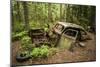 Sweden, Smaland, Ryd, Kyrko Mosse Car Cemetery, former junkyard now pubic park, junked cars-Walter Bibikow-Mounted Photographic Print