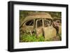 Sweden, Smaland, Ryd, Kyrko Mosse Car Cemetery, former junkyard now pubic park, junked cars-Walter Bibikow-Framed Photographic Print