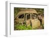 Sweden, Smaland, Ryd, Kyrko Mosse Car Cemetery, former junkyard now pubic park, junked cars-Walter Bibikow-Framed Photographic Print