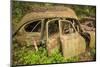 Sweden, Smaland, Ryd, Kyrko Mosse Car Cemetery, former junkyard now pubic park, junked cars-Walter Bibikow-Mounted Photographic Print