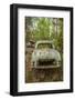 Sweden, Smaland, Ryd, Kyrko Mosse Car Cemetery, former junkyard now pubic park, junked cars-Walter Bibikow-Framed Photographic Print