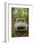 Sweden, Smaland, Ryd, Kyrko Mosse Car Cemetery, former junkyard now pubic park, junked cars-Walter Bibikow-Framed Photographic Print