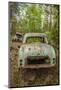 Sweden, Smaland, Ryd, Kyrko Mosse Car Cemetery, former junkyard now pubic park, junked cars-Walter Bibikow-Mounted Photographic Print