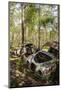 Sweden, Smaland, Ryd, Kyrko Mosse Car Cemetery, former junkyard now pubic park, junked cars-Walter Bibikow-Mounted Photographic Print