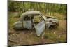 Sweden, Smaland, Ryd, Kyrko Mosse Car Cemetery, former junkyard now pubic park, junked cars-Walter Bibikow-Mounted Photographic Print