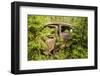 Sweden, Smaland, Ryd, Kyrko Mosse Car Cemetery, former junkyard now pubic park, junked cars-Walter Bibikow-Framed Photographic Print