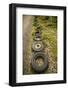 Sweden, Smaland, Ryd, Kyrko Mosse Car Cemetery, former junkyard now pubic park, old tires-Walter Bibikow-Framed Photographic Print