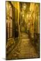 Sweden, Stockholm, Gamla Stan, Old Town, Marten Trotzigs Grand, narrowest street in Stockholm-Walter Bibikow-Mounted Photographic Print