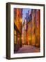 Sweden, Stockholm, Gamla Stan, Old Town, Royal Palace, old town street, dusk-Walter Bibikow-Framed Photographic Print