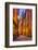 Sweden, Stockholm, Gamla Stan, Old Town, Royal Palace, old town street, dusk-Walter Bibikow-Framed Photographic Print