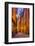 Sweden, Stockholm, Gamla Stan, Old Town, Royal Palace, old town street, dusk-Walter Bibikow-Framed Photographic Print