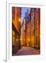 Sweden, Stockholm, Gamla Stan, Old Town, Royal Palace, old town street, dusk-Walter Bibikow-Framed Photographic Print