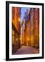 Sweden, Stockholm, Gamla Stan, Old Town, Royal Palace, old town street, dusk-Walter Bibikow-Framed Photographic Print