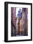 Sweden, Stockholm, Gamla Stan, Old Town, Royal Palace, old town street-Walter Bibikow-Framed Photographic Print