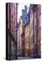 Sweden, Stockholm, Gamla Stan, Old Town, Royal Palace, old town street-Walter Bibikow-Stretched Canvas