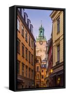 Sweden, Stockholm, Gamla Stan, Old Town, Storkyrkan Cathedral, dusk-Walter Bibikow-Framed Stretched Canvas