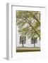 Sweden, Stockholm, trees, early spring-Walter Bibikow-Framed Photographic Print