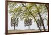 Sweden, Stockholm, trees, early spring-Walter Bibikow-Framed Photographic Print