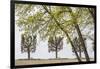 Sweden, Stockholm, trees, early spring-Walter Bibikow-Framed Photographic Print