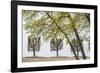 Sweden, Stockholm, trees, early spring-Walter Bibikow-Framed Photographic Print