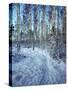 Sweden, Torso, Lake Vanern, Trail-James Denk-Stretched Canvas