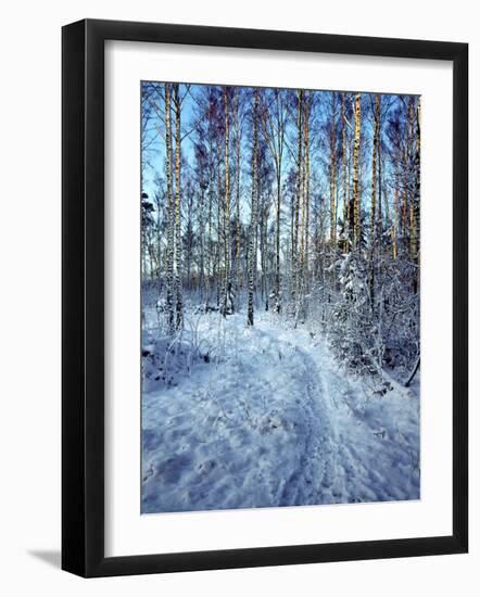 Sweden, Torso, Lake Vanern, Trail-James Denk-Framed Photographic Print