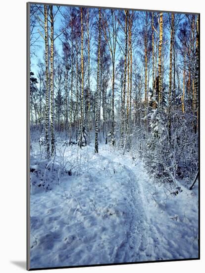 Sweden, Torso, Lake Vanern, Trail-James Denk-Mounted Photographic Print